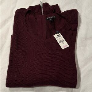Express Deep Burgundy Knit Sweater